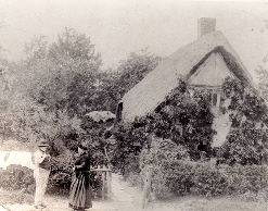 Pic 3